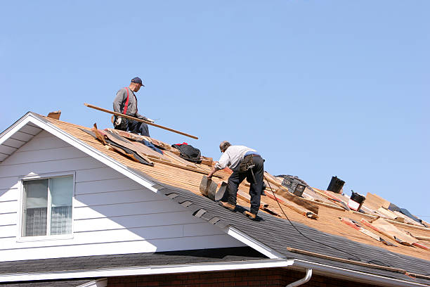 Best Chimney Flashing Repair  in , GA